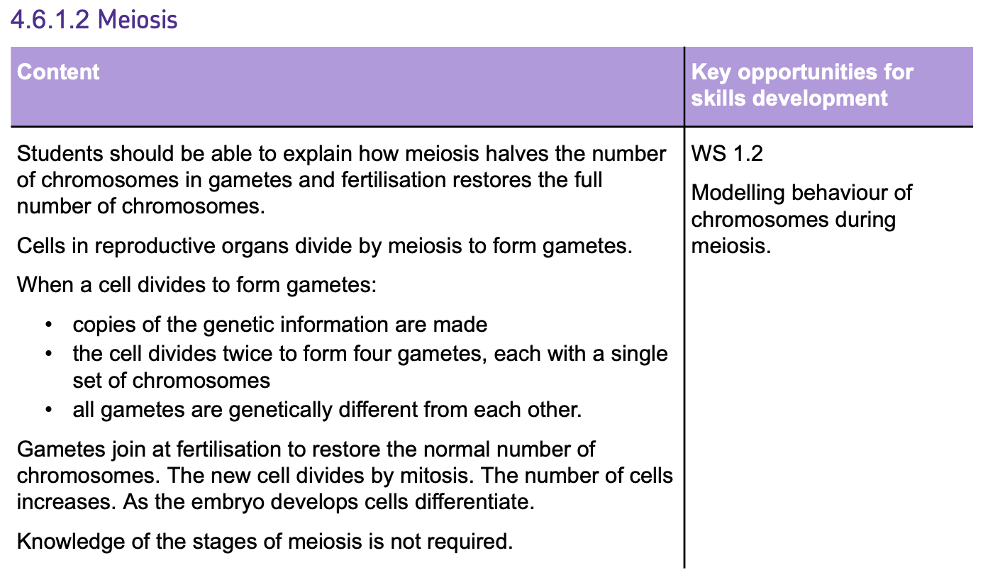 gbatch6-1-2spec